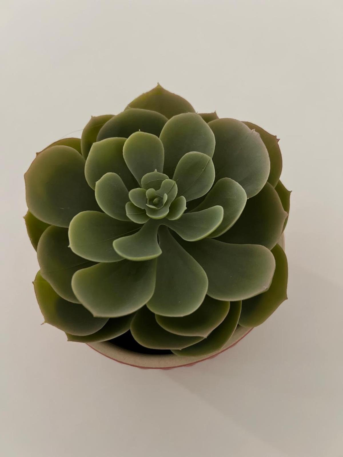 Estrela Da Almada Mascarenhas公寓 外观 照片